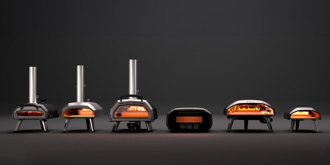 Terms and Conditions of the Black Friday Sale - 2025